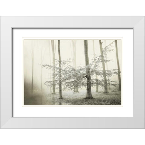 Only for Unicorns White Modern Wood Framed Art Print with Double Matting by Van de Goor, Lars