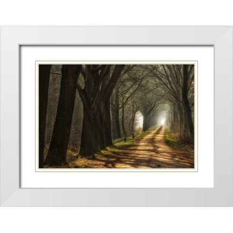 Paths White Modern Wood Framed Art Print with Double Matting by Van de Goor, Lars