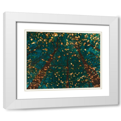 Platoaâ‚¬â„¢s Trees White Modern Wood Framed Art Print with Double Matting by Van de Goor, Lars