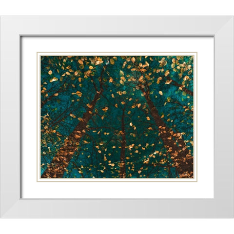 Platoaâ‚¬â„¢s Trees White Modern Wood Framed Art Print with Double Matting by Van de Goor, Lars