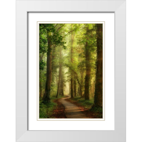 Snake Path White Modern Wood Framed Art Print with Double Matting by Van de Goor, Lars