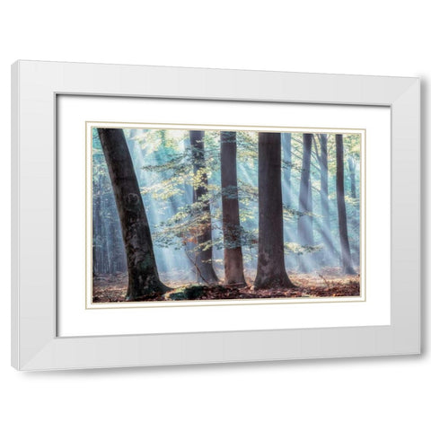 Spellbound White Modern Wood Framed Art Print with Double Matting by Van de Goor, Lars