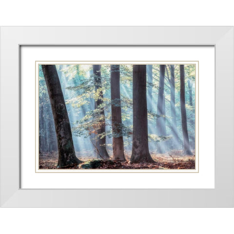 Spellbound White Modern Wood Framed Art Print with Double Matting by Van de Goor, Lars