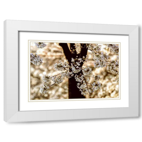 Spring Black White Modern Wood Framed Art Print with Double Matting by Van de Goor, Lars