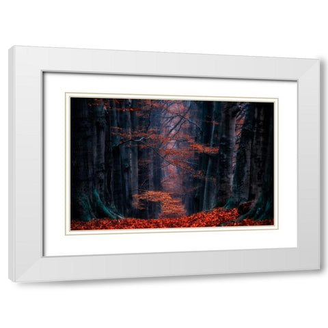 Synapse White Modern Wood Framed Art Print with Double Matting by Van de Goor, Lars
