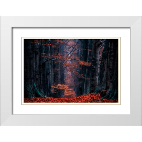 Synapse White Modern Wood Framed Art Print with Double Matting by Van de Goor, Lars