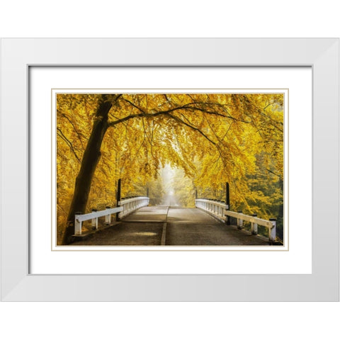 Bridge to Fall III White Modern Wood Framed Art Print with Double Matting by Van de Goor, Lars