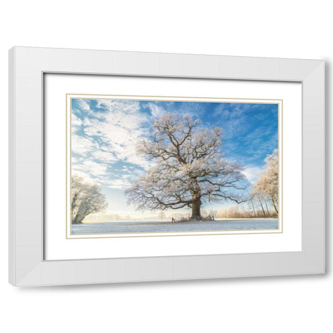 Cold Oak White Modern Wood Framed Art Print with Double Matting by Van de Goor, Lars