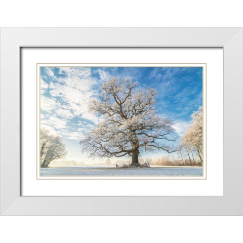 Cold Oak White Modern Wood Framed Art Print with Double Matting by Van de Goor, Lars