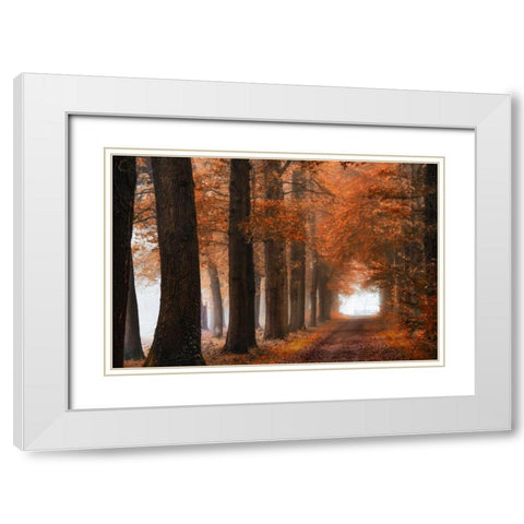 Glorious Season White Modern Wood Framed Art Print with Double Matting by Van de Goor, Lars
