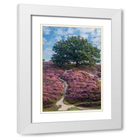 Purple Heath White Modern Wood Framed Art Print with Double Matting by Van de Goor, Lars