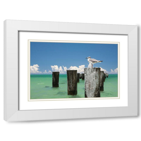 Welcome to Naples, Florida White Modern Wood Framed Art Print with Double Matting by Varona, Verne