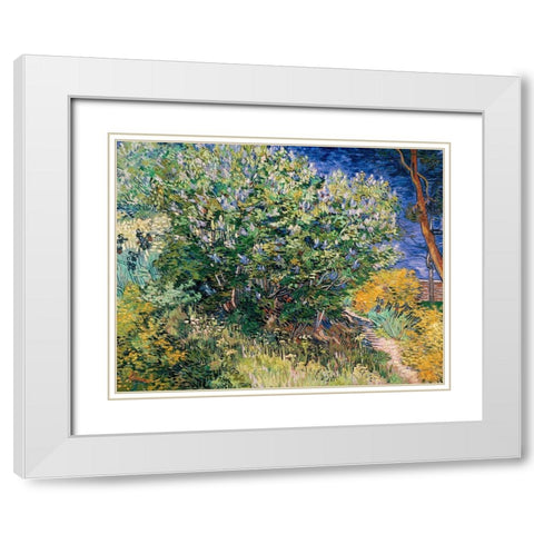 Lilac Bush White Modern Wood Framed Art Print with Double Matting by Van Gogh, Vincent