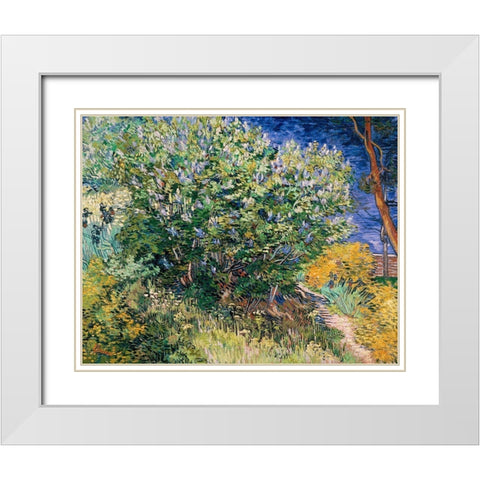 Lilac Bush White Modern Wood Framed Art Print with Double Matting by Van Gogh, Vincent