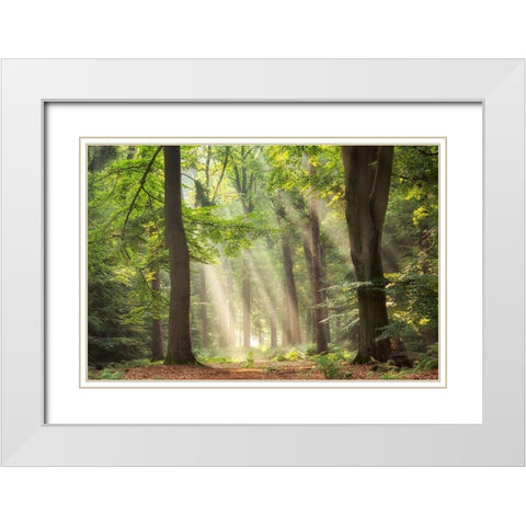 A Touch of Glory White Modern Wood Framed Art Print with Double Matting by Van de Goor, Lars