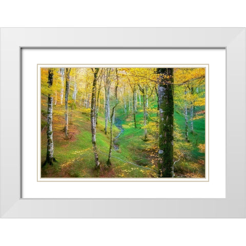 Dream of Birches White Modern Wood Framed Art Print with Double Matting by Van de Goor, Lars