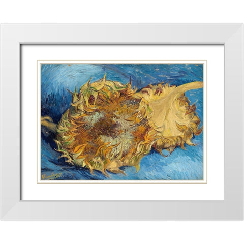 Sunflowers, 1887 White Modern Wood Framed Art Print with Double Matting by Van Gogh, Vincent
