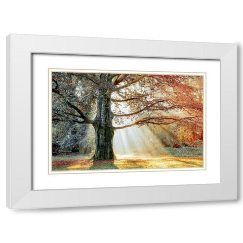 Basking In The Sun White Modern Wood Framed Art Print with Double Matting by Van de Goor, Lars