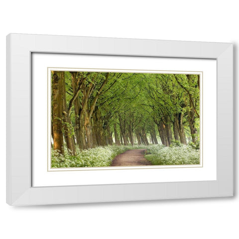 Cow Parsley Curve White Modern Wood Framed Art Print with Double Matting by Van de Goor, Lars