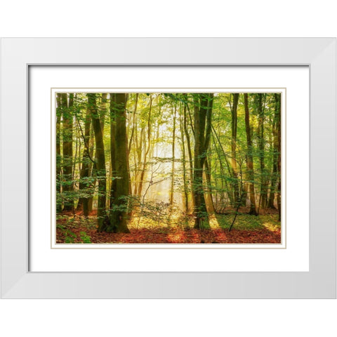 Power Beam White Modern Wood Framed Art Print with Double Matting by Van de Goor, Lars