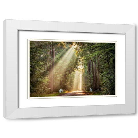 This Beam is Booming White Modern Wood Framed Art Print with Double Matting by Van de Goor, Lars