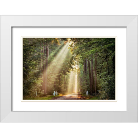 This Beam is Booming White Modern Wood Framed Art Print with Double Matting by Van de Goor, Lars