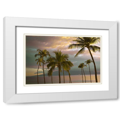 Hawaii Palm Sunset No. 1 White Modern Wood Framed Art Print with Double Matting by Vargas, Carlos