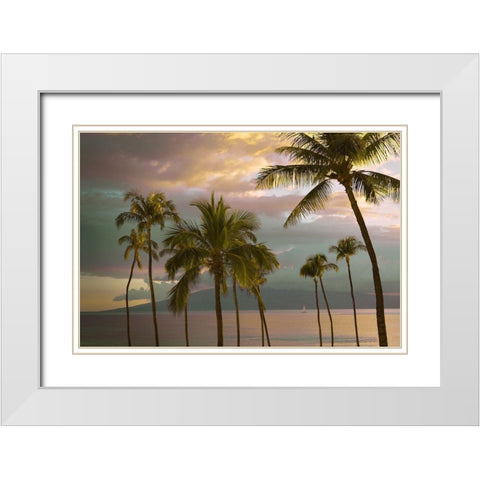 Hawaii Palm Sunset No. 1 White Modern Wood Framed Art Print with Double Matting by Vargas, Carlos