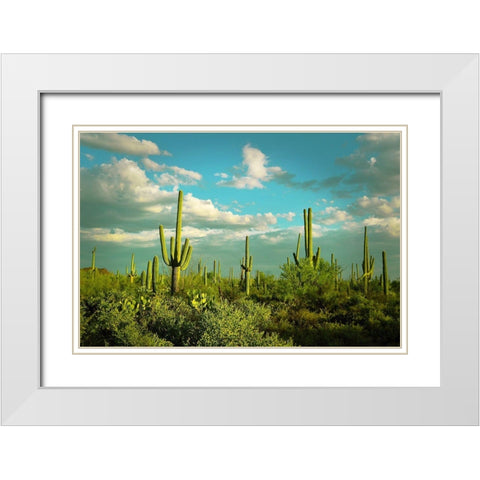 Saguaros No. 2 White Modern Wood Framed Art Print with Double Matting by Vargas, Carlos