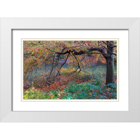 Fall Retreat White Modern Wood Framed Art Print with Double Matting by Varona, Verne