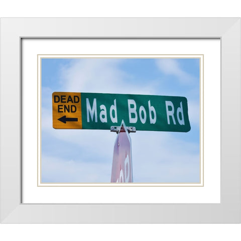 Mad Bob White Modern Wood Framed Art Print with Double Matting by Vaughn, Steve