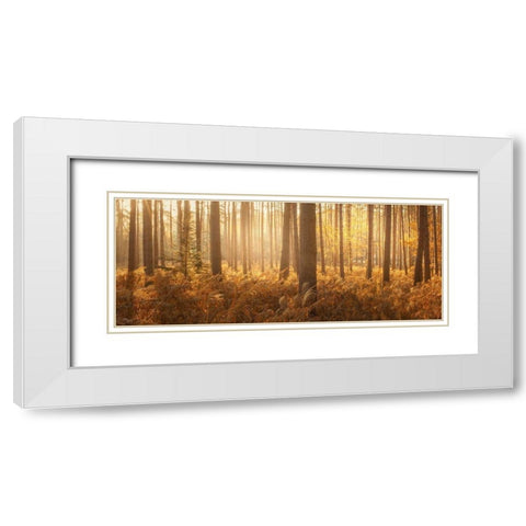 Wyre Forest White Modern Wood Framed Art Print with Double Matting by Winstanley, Ian