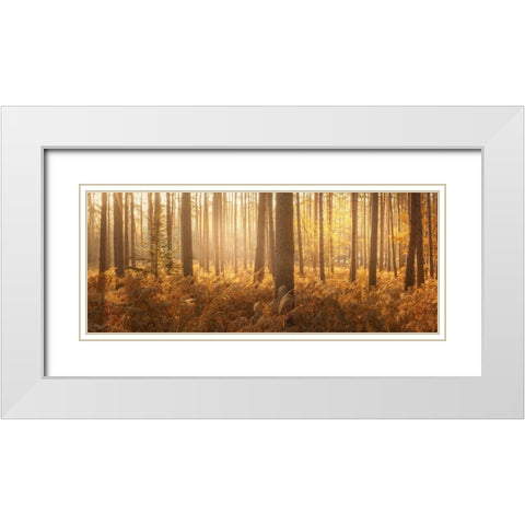 Wyre Forest White Modern Wood Framed Art Print with Double Matting by Winstanley, Ian