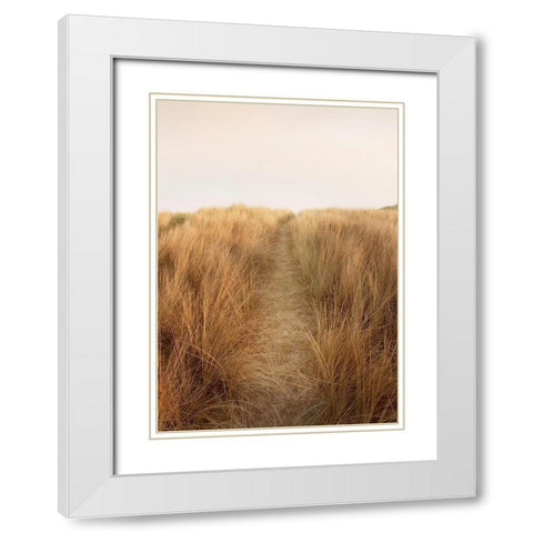 Dunes with Seagulls 6 White Modern Wood Framed Art Print with Double Matting by Winstanley, Ian