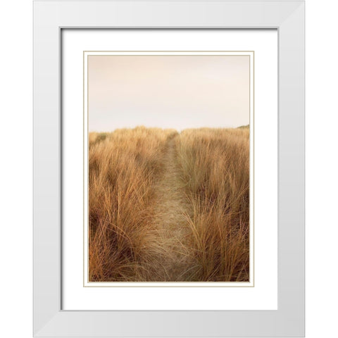 Dunes with Seagulls 6 White Modern Wood Framed Art Print with Double Matting by Winstanley, Ian