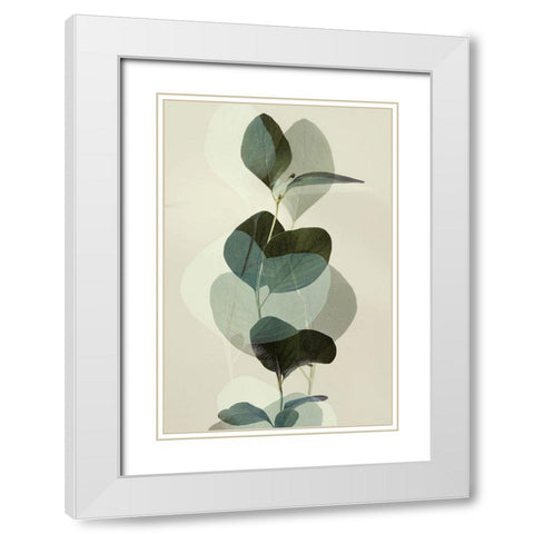 Green Leaves 8 White Modern Wood Framed Art Print with Double Matting by Winstanley, Ian
