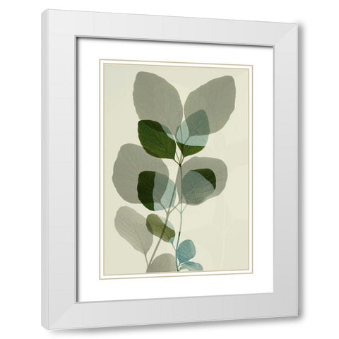Green Leaves 10 White Modern Wood Framed Art Print with Double Matting by Winstanley, Ian