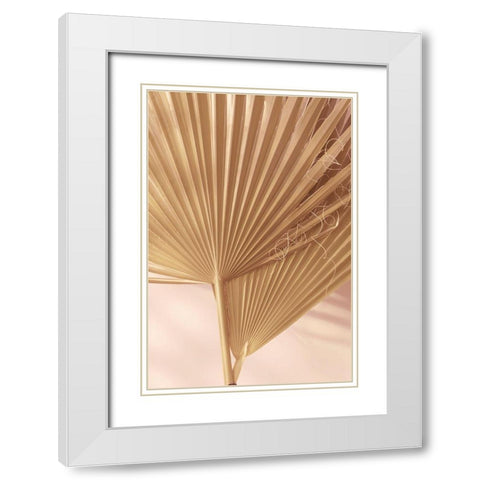 Pastel Fan 1 White Modern Wood Framed Art Print with Double Matting by Winstanley, Ian