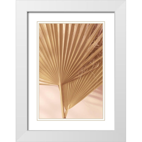 Pastel Fan 1 White Modern Wood Framed Art Print with Double Matting by Winstanley, Ian