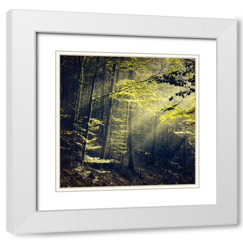 Being There Revisited White Modern Wood Framed Art Print with Double Matting by Wustenhagen, Dirk