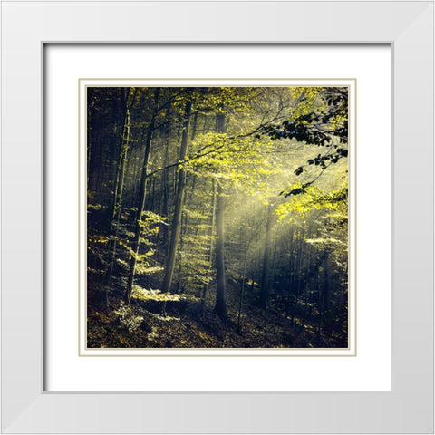 Being There Revisited White Modern Wood Framed Art Print with Double Matting by Wustenhagen, Dirk