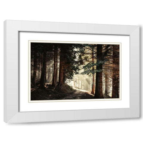 Light Magic White Modern Wood Framed Art Print with Double Matting by Wustenhagen, Dirk
