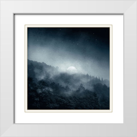 Night Shadows White Modern Wood Framed Art Print with Double Matting by Wustenhagen, Dirk