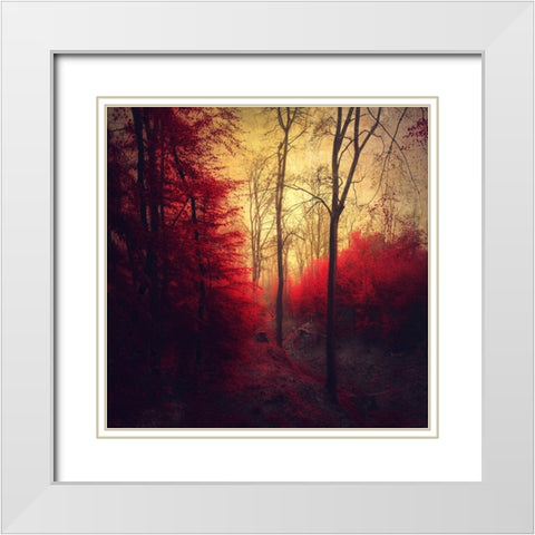Ruby Red Forest White Modern Wood Framed Art Print with Double Matting by Wustenhagen, Dirk