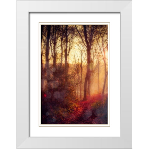Seasons Light White Modern Wood Framed Art Print with Double Matting by Wuestenhagen, Dirk
