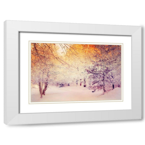 Snowy Sunrise White Modern Wood Framed Art Print with Double Matting by Wuestenhagen, Dirk