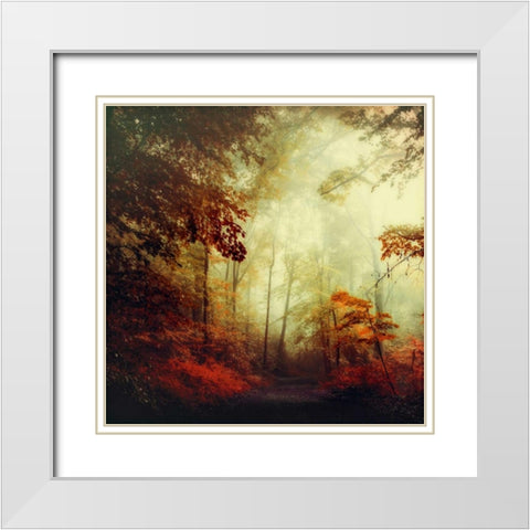 Thats Not My Way White Modern Wood Framed Art Print with Double Matting by Wuestenhagen, Dirk