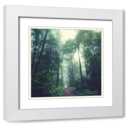 Waldweg White Modern Wood Framed Art Print with Double Matting by Wuestenhagen, Dirk