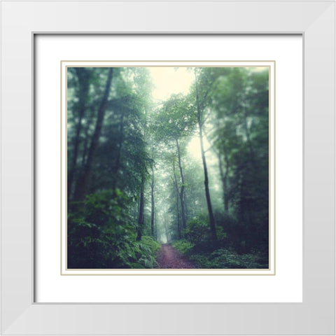 Waldweg White Modern Wood Framed Art Print with Double Matting by Wuestenhagen, Dirk