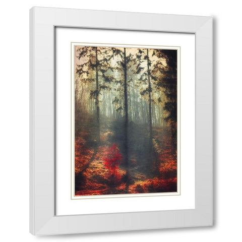 Weight of Light White Modern Wood Framed Art Print with Double Matting by Wuestenhagen, Dirk